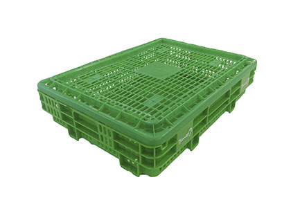 Reusable shellfish crates - Reusable plastic products for the food